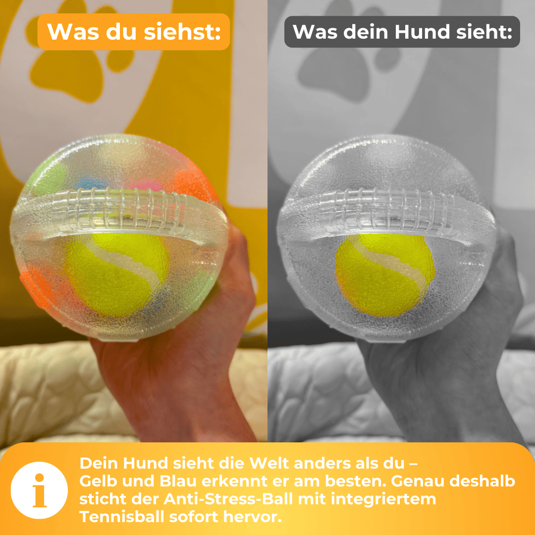 Anti-Stress-Ball - Der Bestseller