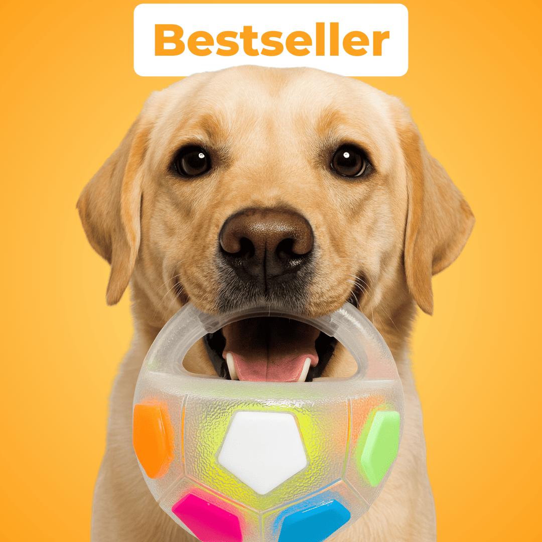 Anti-Stress-Ball - Der Bestseller